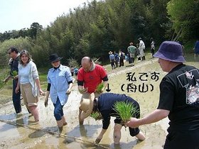 100419-1_私が田植えのお手本を・・・