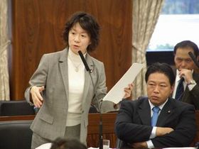 081113_参議院農林水産委員会