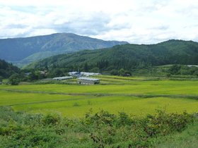 白鷹町中山地区棚田