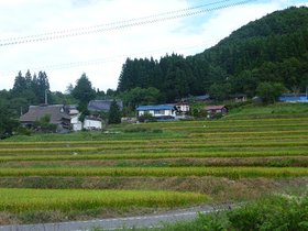 白鷹町中山地区棚田